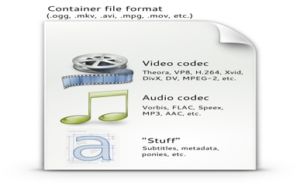 formatos